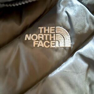 The North Face 550 Vest